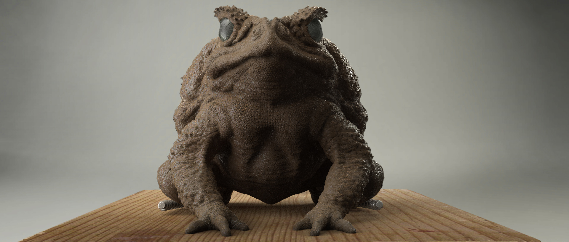 toad frntal fin.JPG