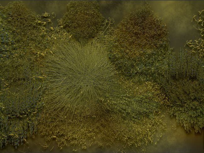WATER PLANTS 7.jpg