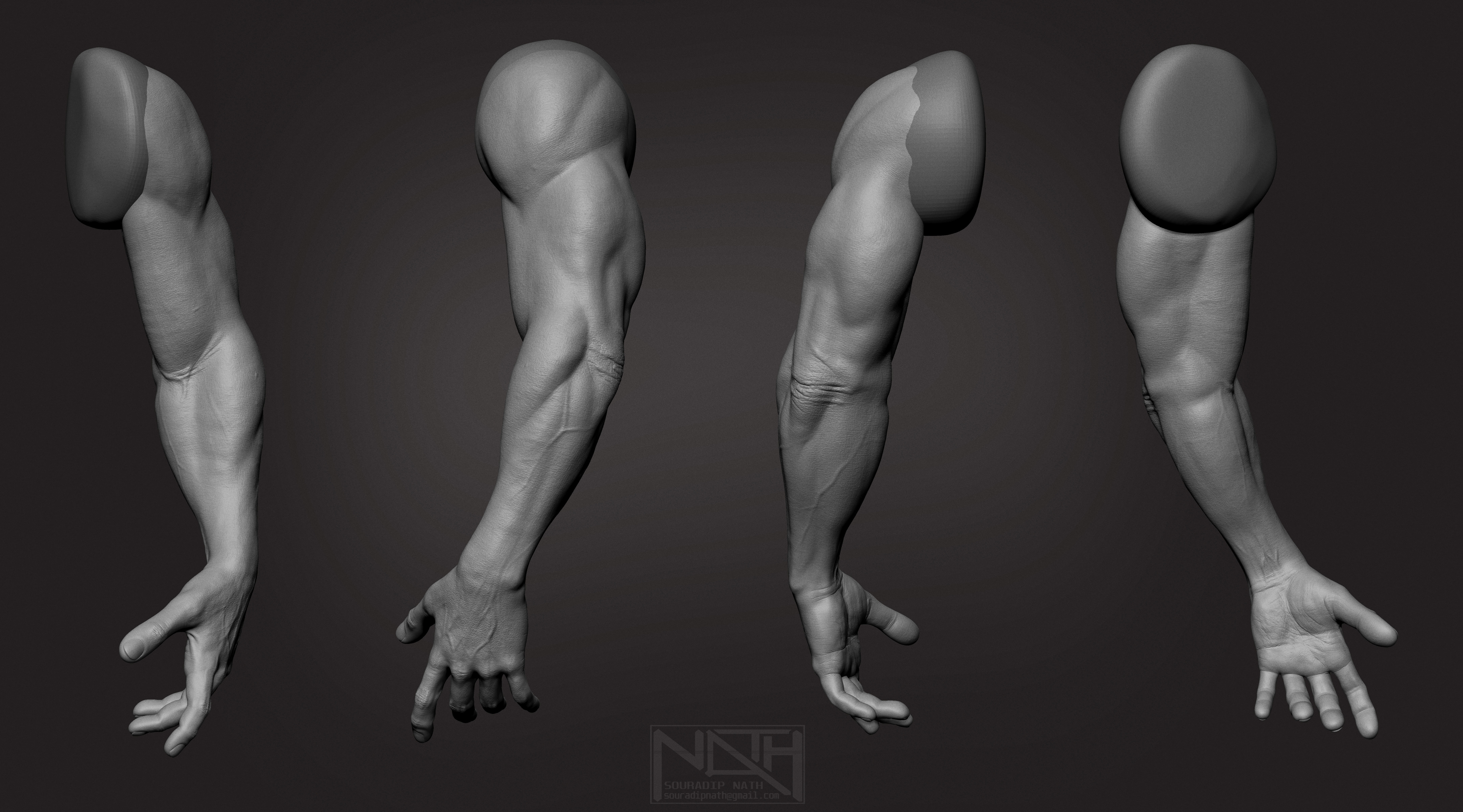 pluralsight sculpting human arms in zbrush