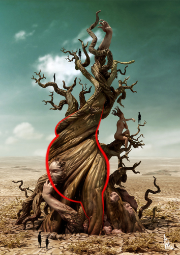 Spiral_web_profile.jpg