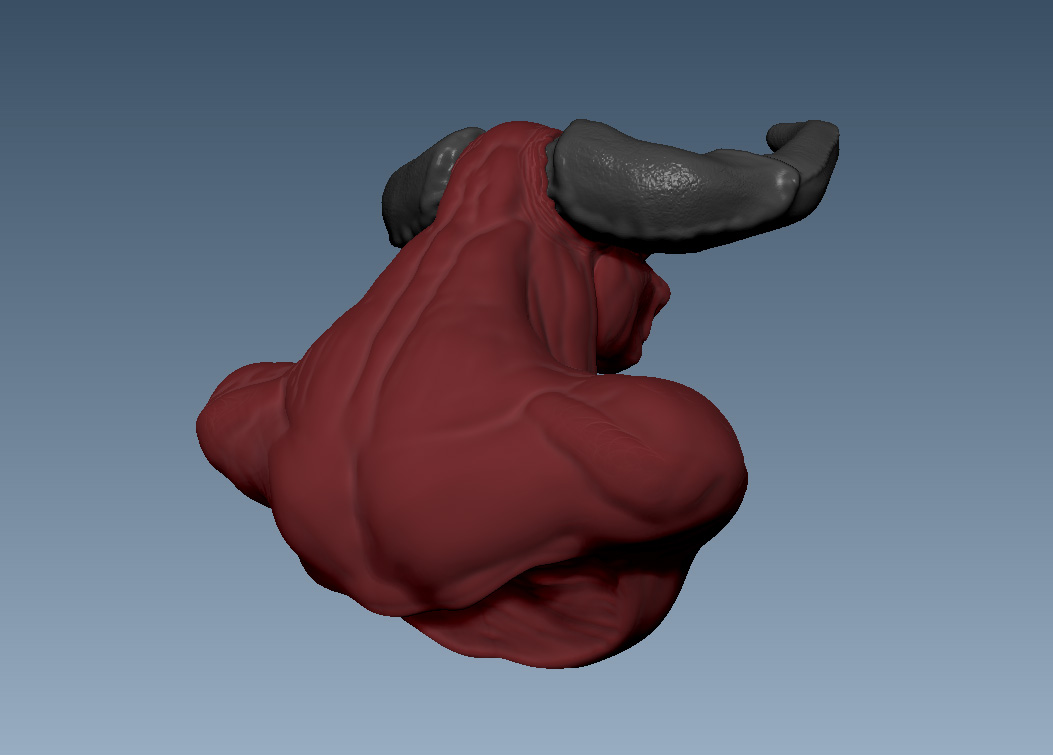Bull_4.jpg