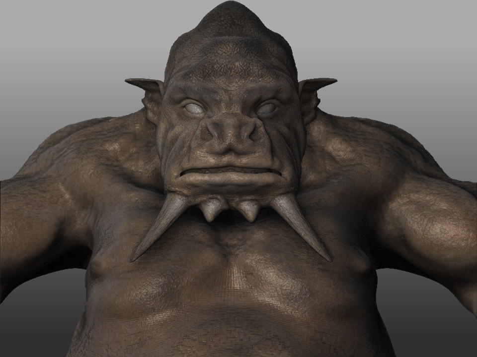 face h.jpg