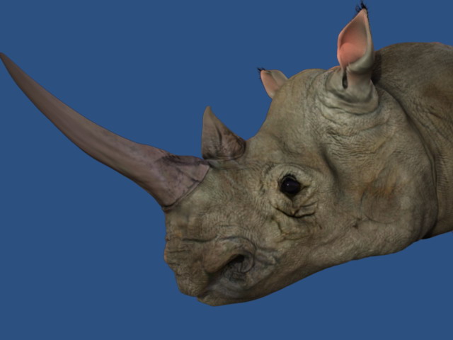 RhinoHeadFinal.jpg