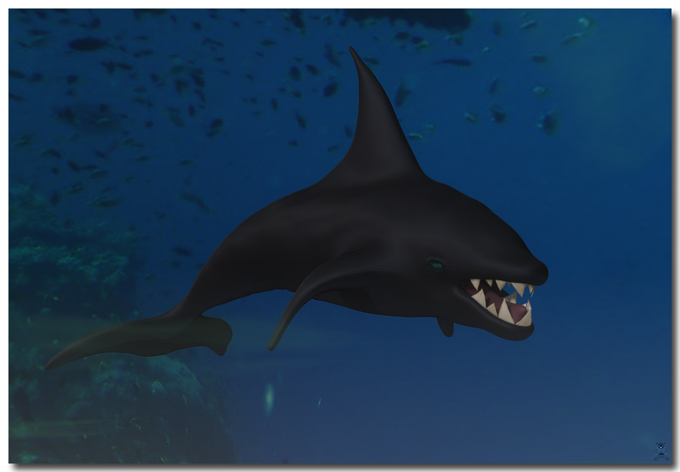 Orca21.jpg