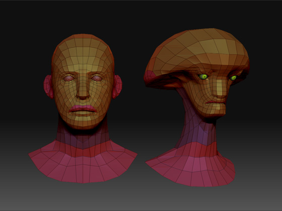 Heads.jpg