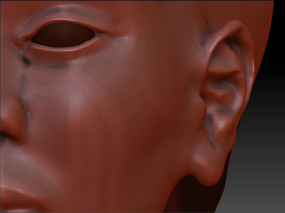 Ear2.jpg