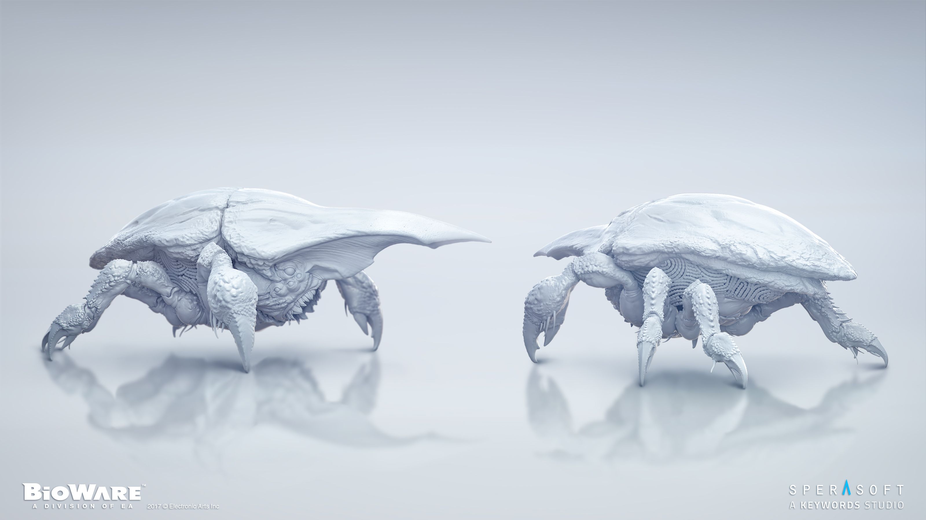 09b_1Rhino_HP.jpg
