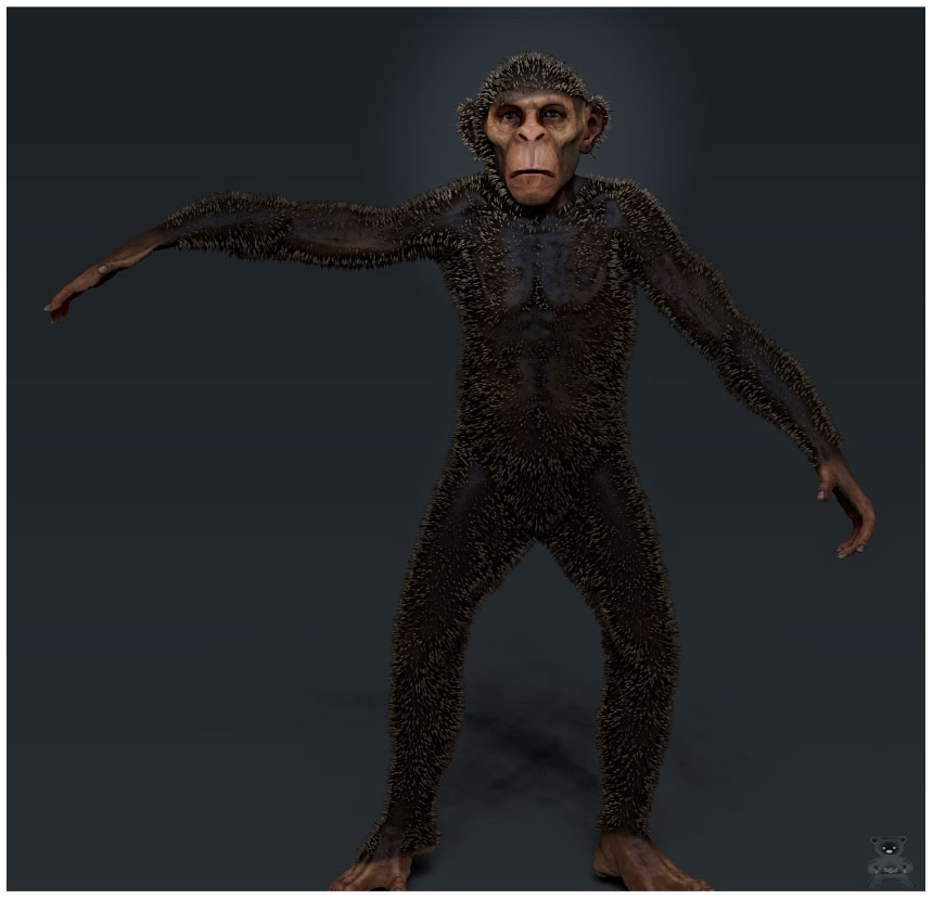 Monkey1.jpg
