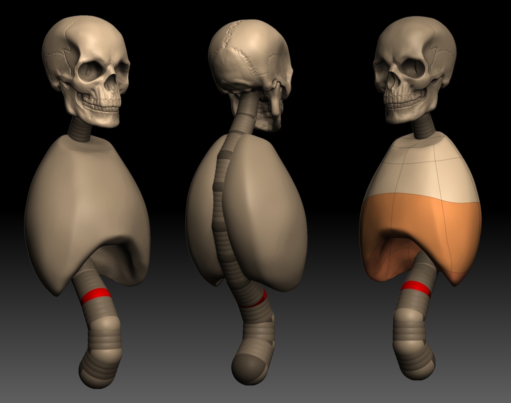 skeletonWIP.JPG