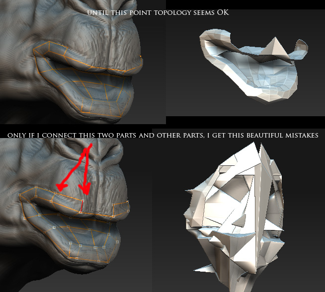 topology545.jpg