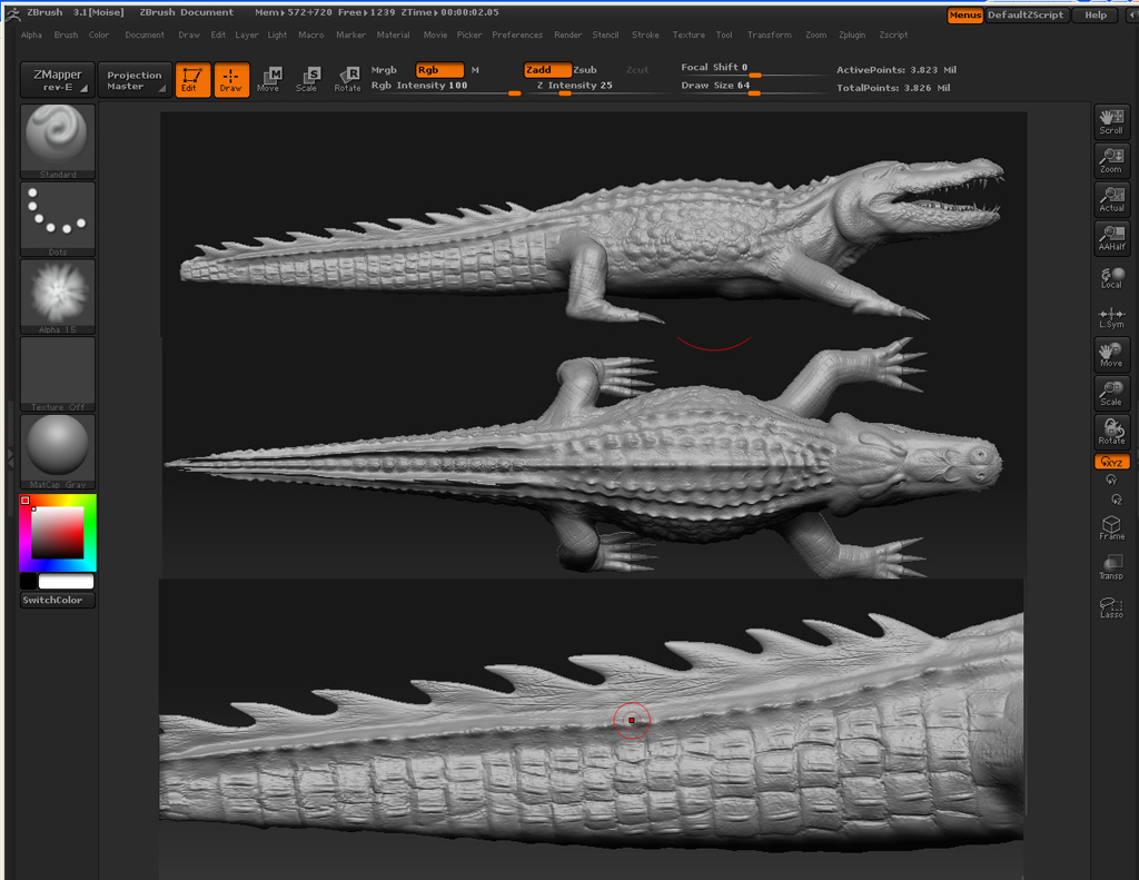 croco4.1.jpg