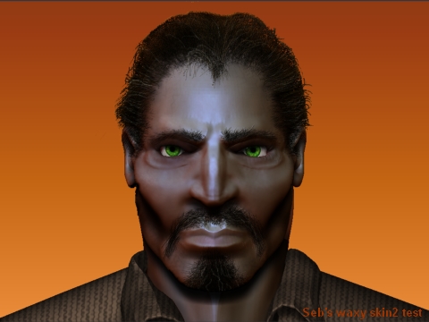 july232007maleHead1bCdSebsSkinWax2.jpg