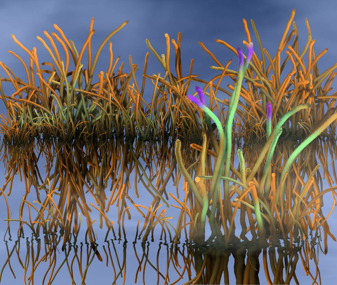 reflection2.jpg