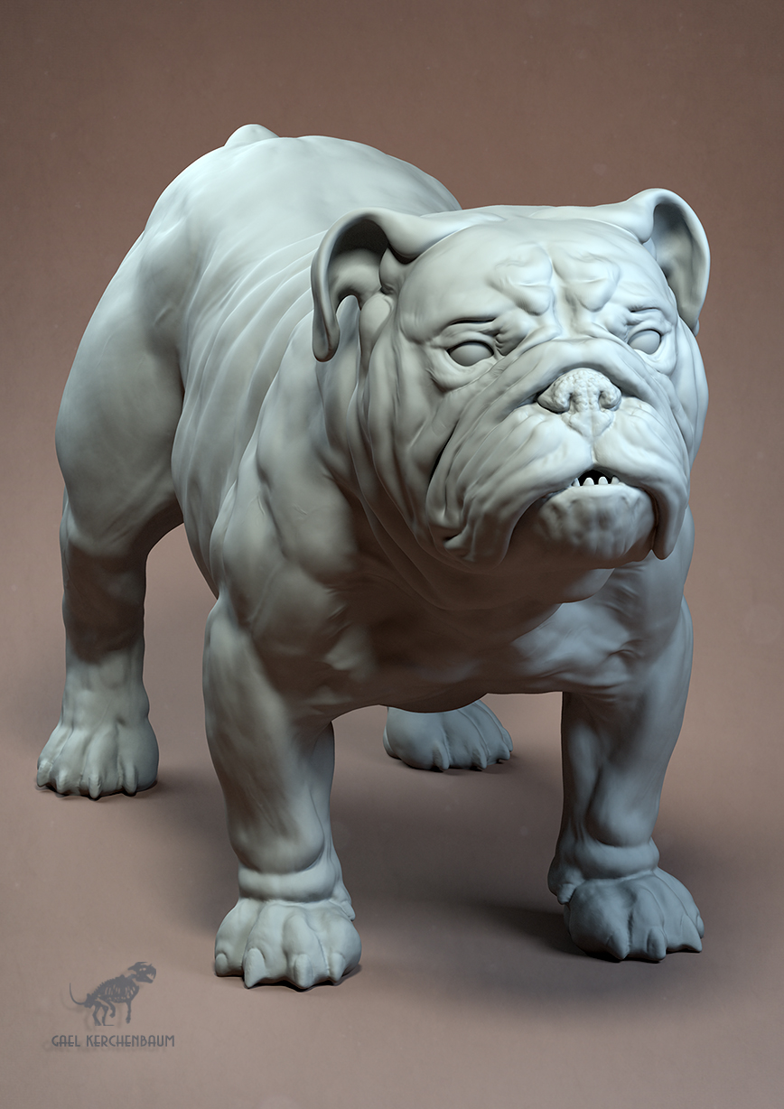 bulldog_006.jpg
