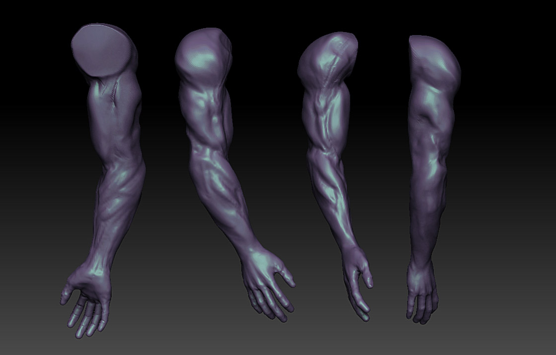 armstudy.jpg