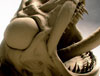 ZBC_THUMB2.jpg