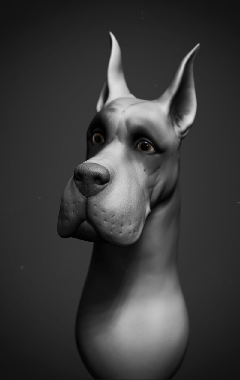 scoob01.jpg