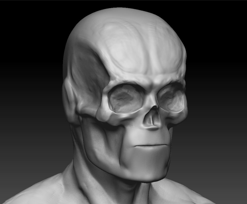 Head_Skull_BPR.JPG