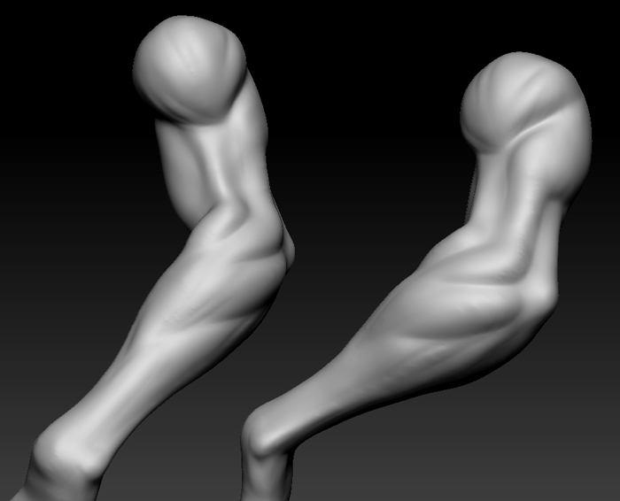 arm.jpg