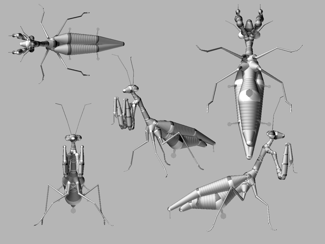 mantis_01.jpg
