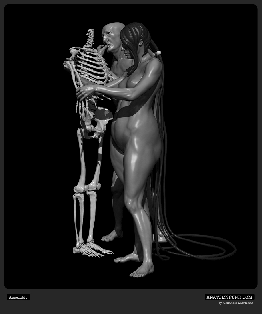 Assembly view 2_Anatomypunk.jpeg