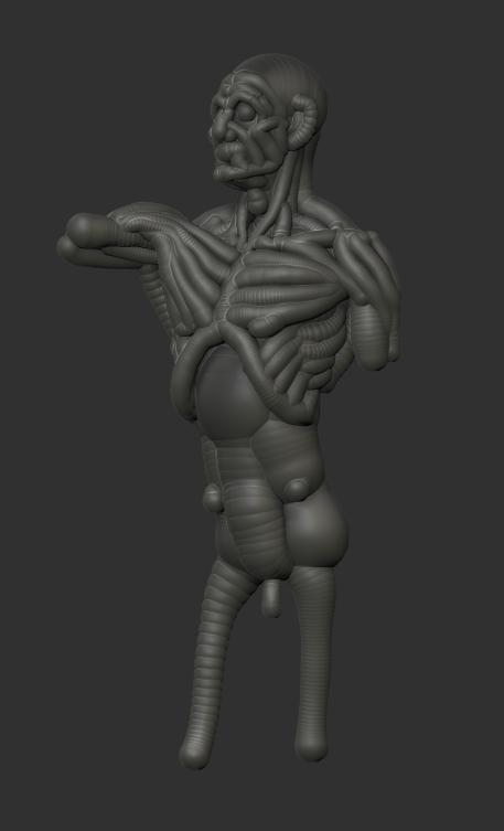 ecorche1.jpg