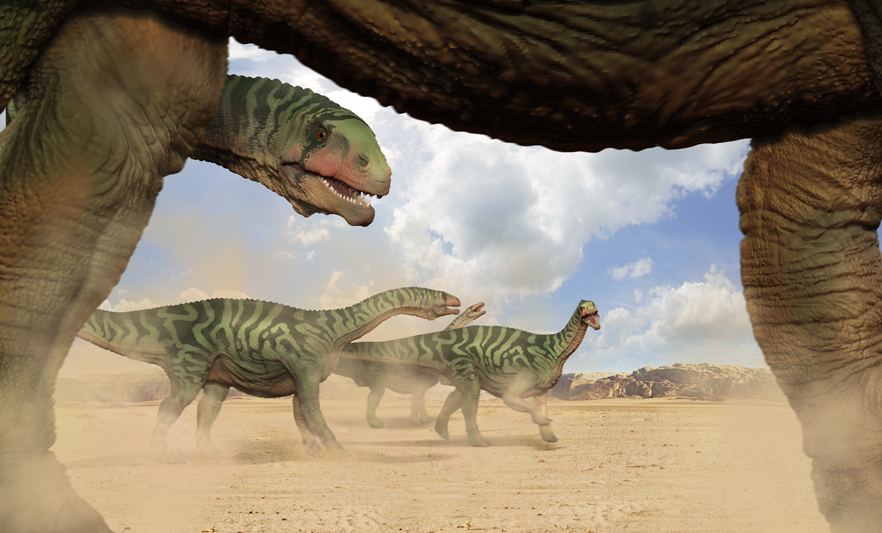 Isanosaurus REVISED FLATlowres.jpg