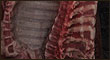 meat_ZB_T.jpg