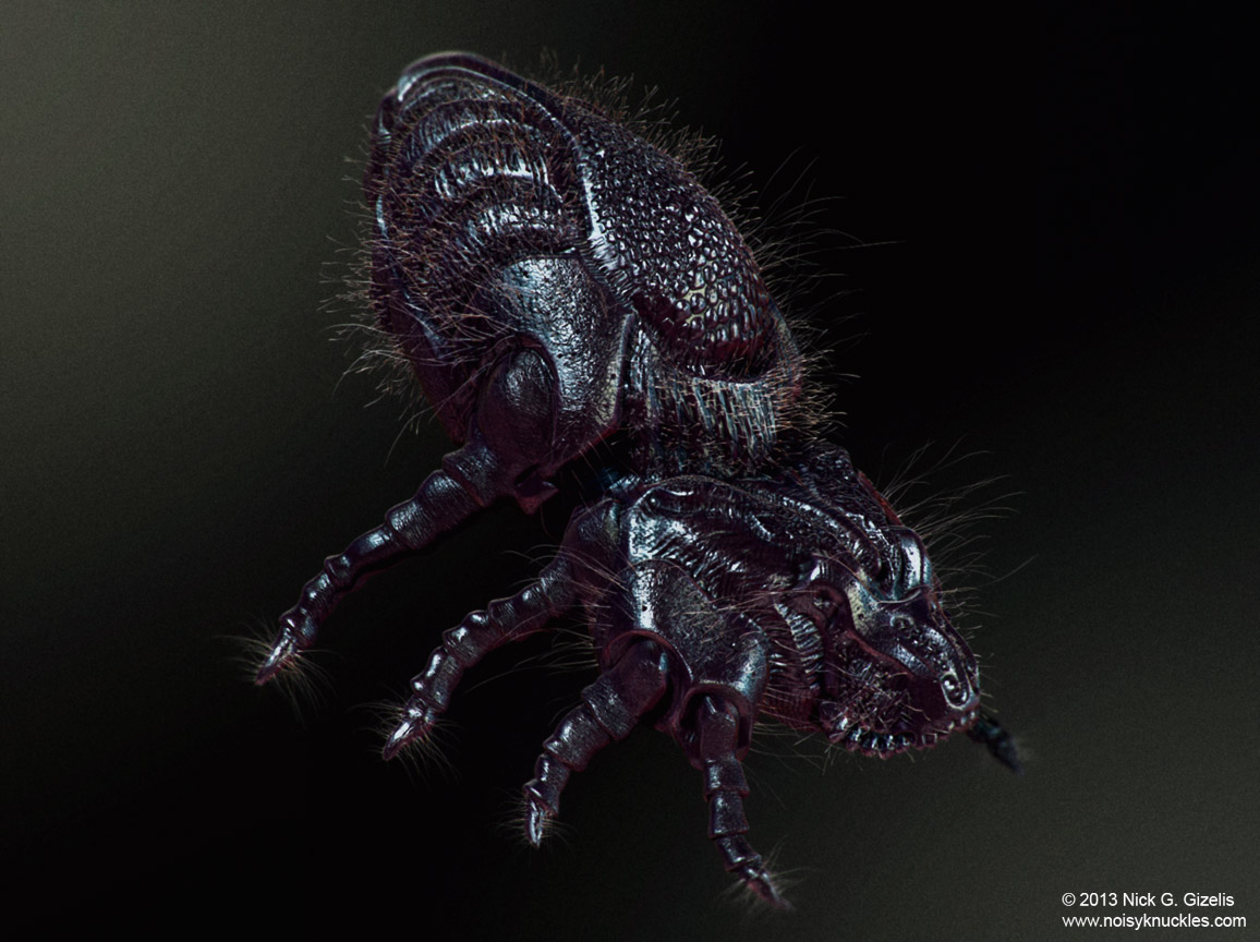 MICROLIFE_VIEW_1.jpg