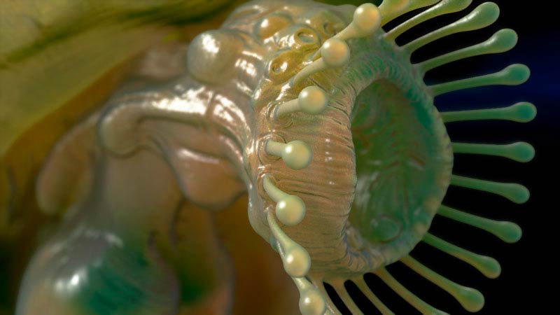 snailRender03.jpg