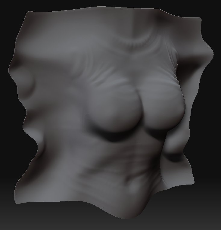 torso1.jpg