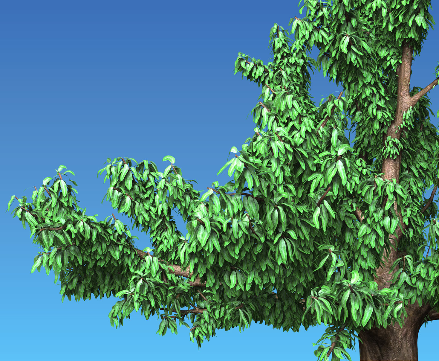 Tree3.jpg