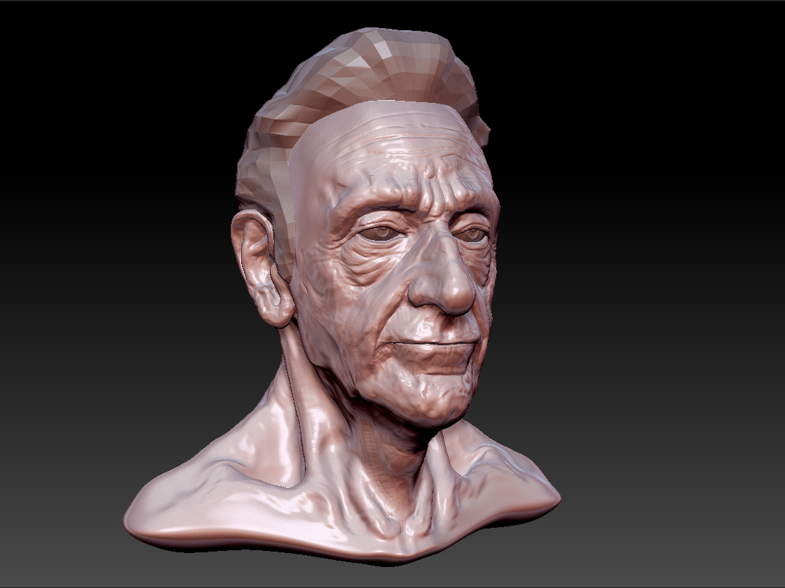 WIP.jpg