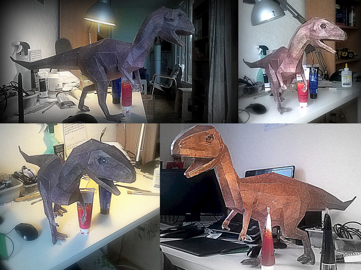 DinoX Photos3.jpg