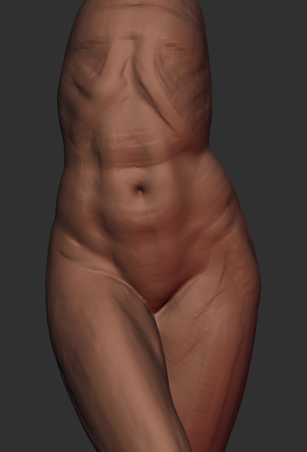 torso1.jpg