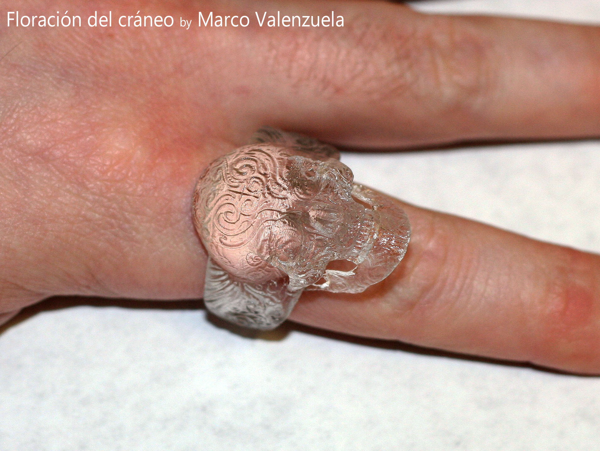 Skull_Ring_WaterShedClear01_web.jpg