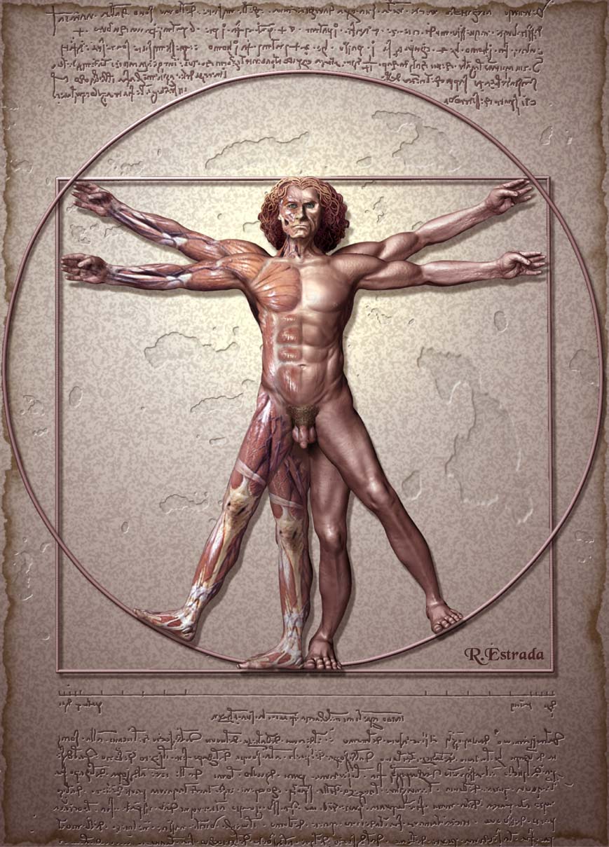 Proporcion Aurea Ampliada.jpg