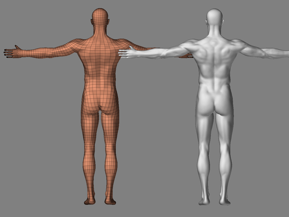 maleback.jpg