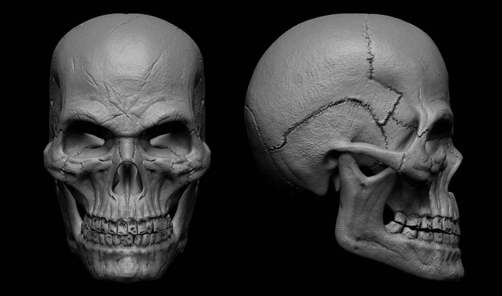 leader-skull2.jpg