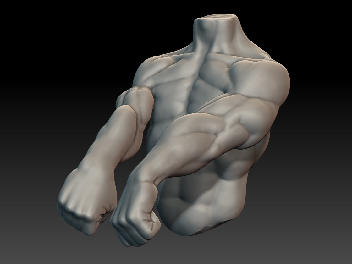 muscleUpper1.jpg