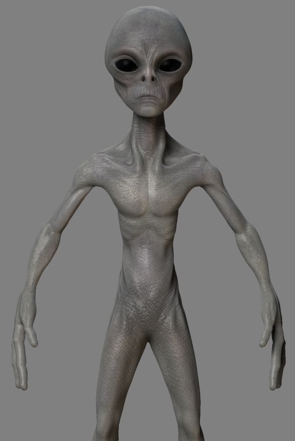 Wip13.JPG