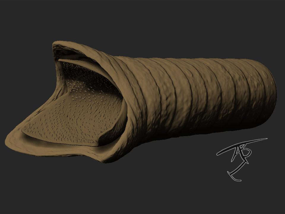 duneworm9.jpg