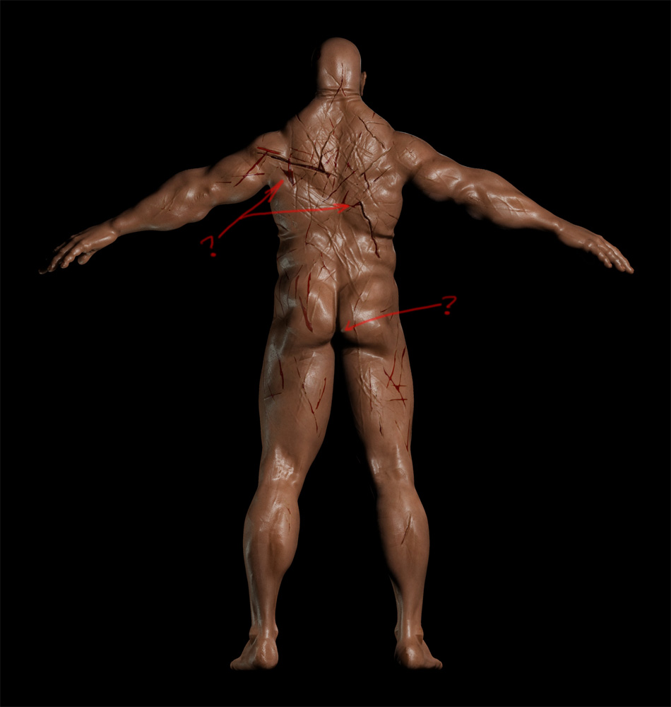 Samson_Back_002.jpg