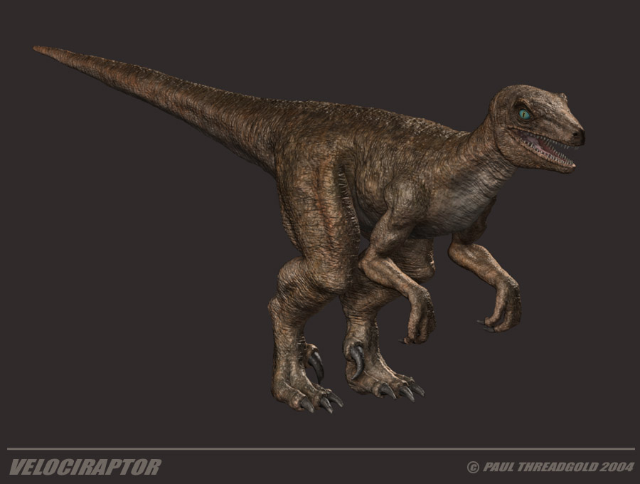 raptorisotitled copy.jpg