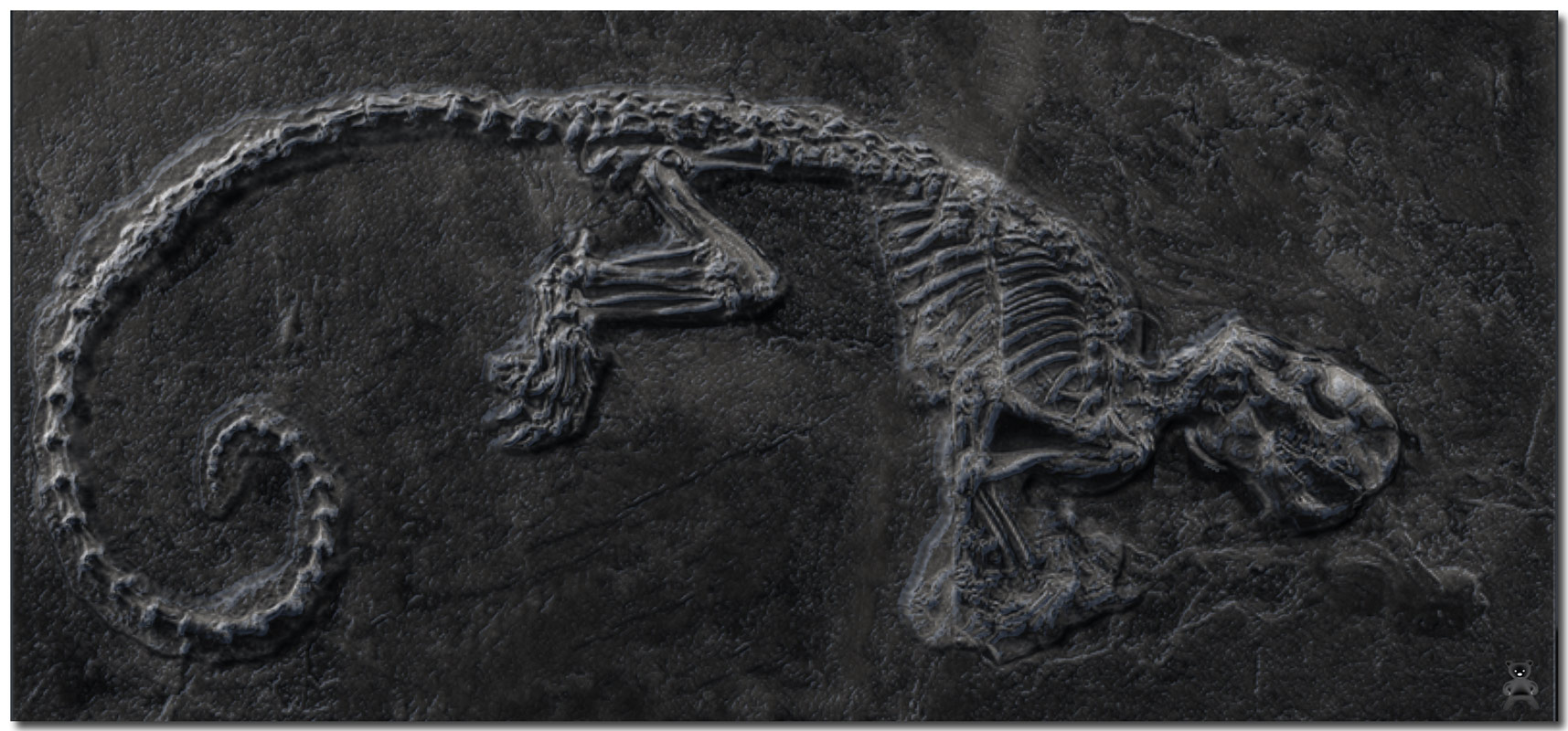 Critter2BWZbrush.jpg