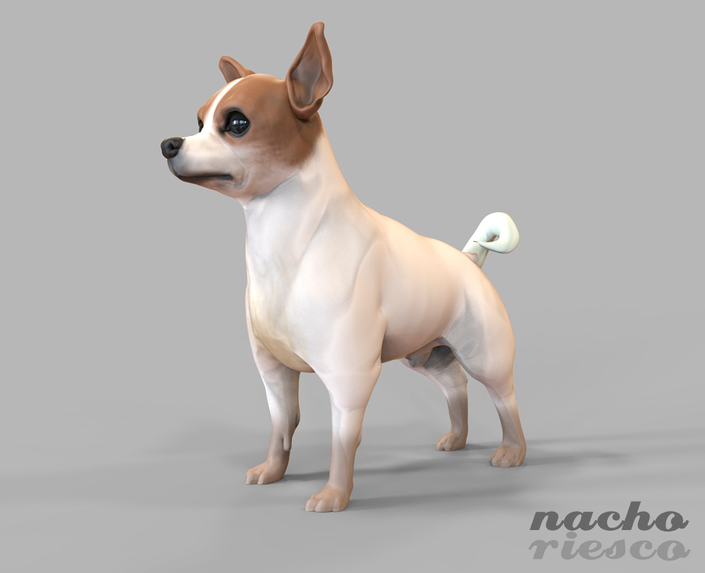 chihuahua3.jpg