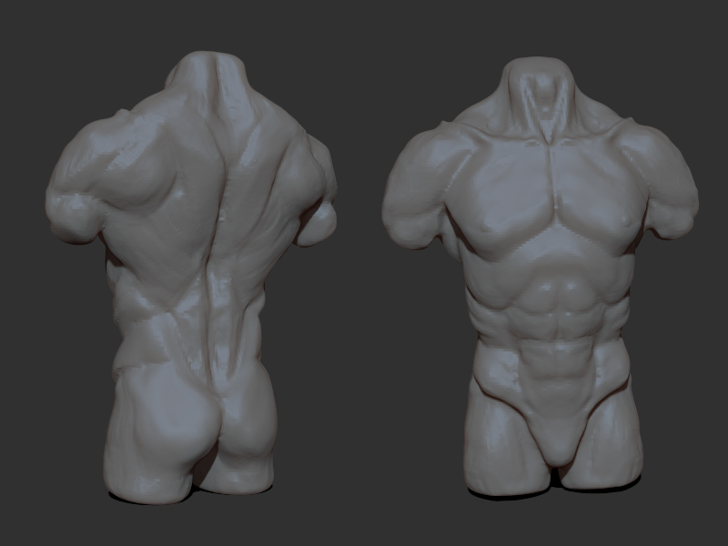 anatomical_study_02.jpg