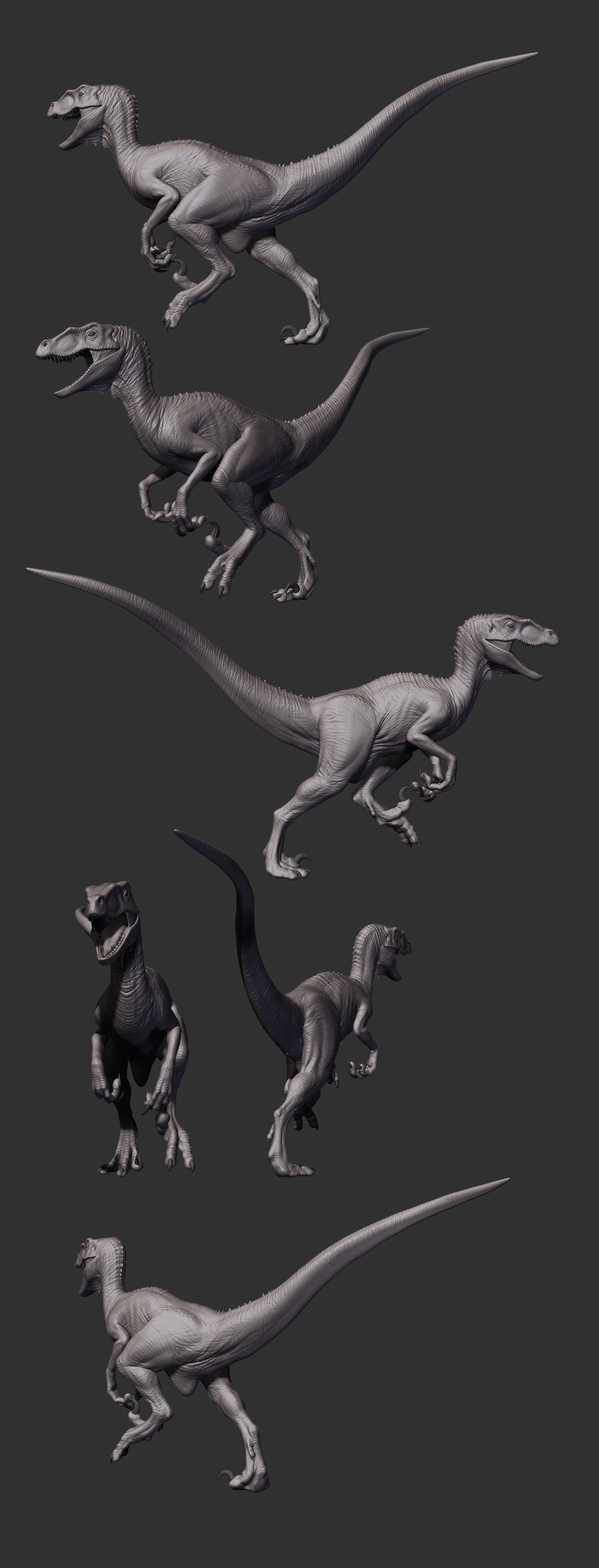 raptorpose.jpg
