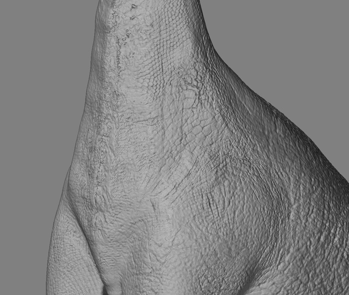 ultrasaurus_bump1_small.jpg