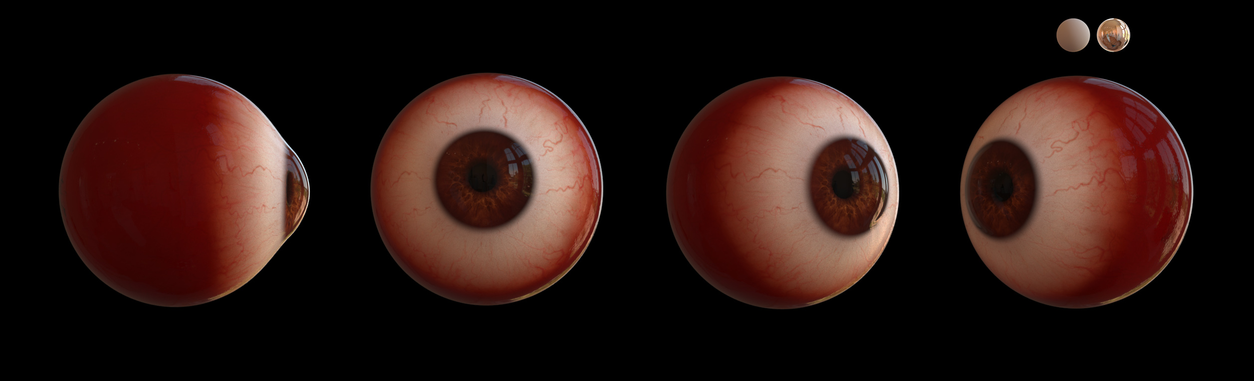 ranger_eyes_closeup1.jpg